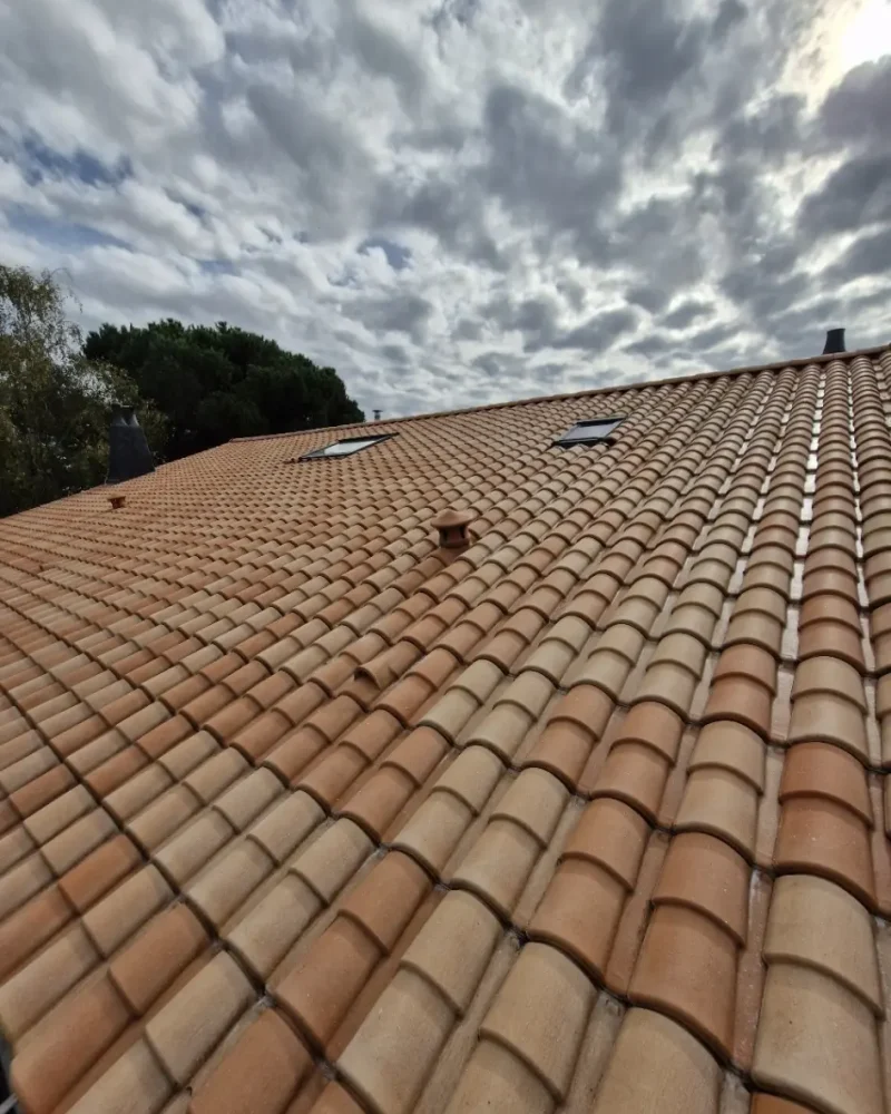 realisation-amenagement-exterieur-coquelle-romain (5)